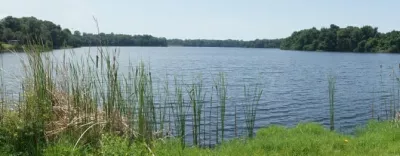 City of Springfield Florida